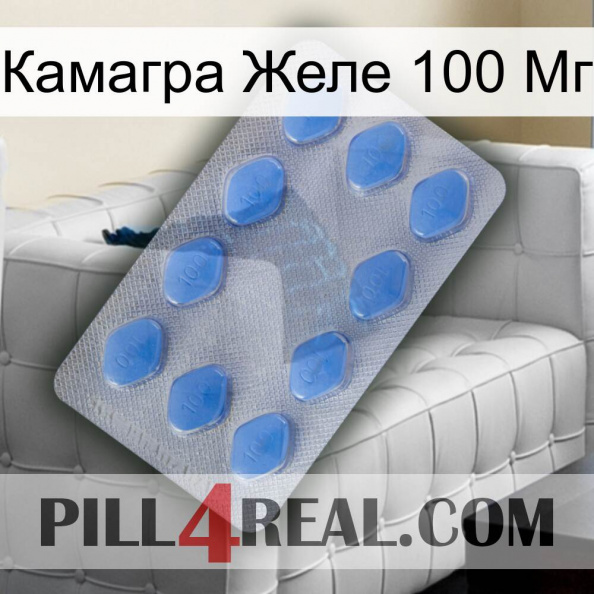 Камагра Желе 100 Мг 21.jpg